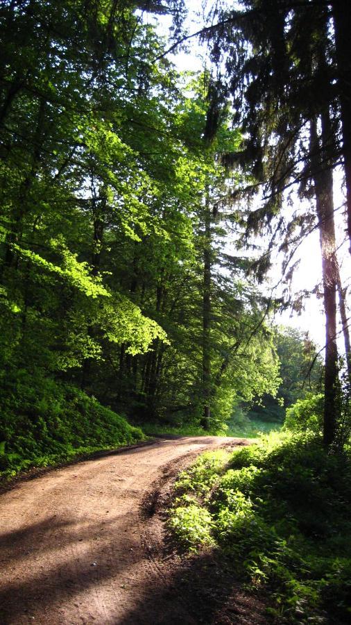 Gaestezimmer Waldblick Wimbach Dış mekan fotoğraf