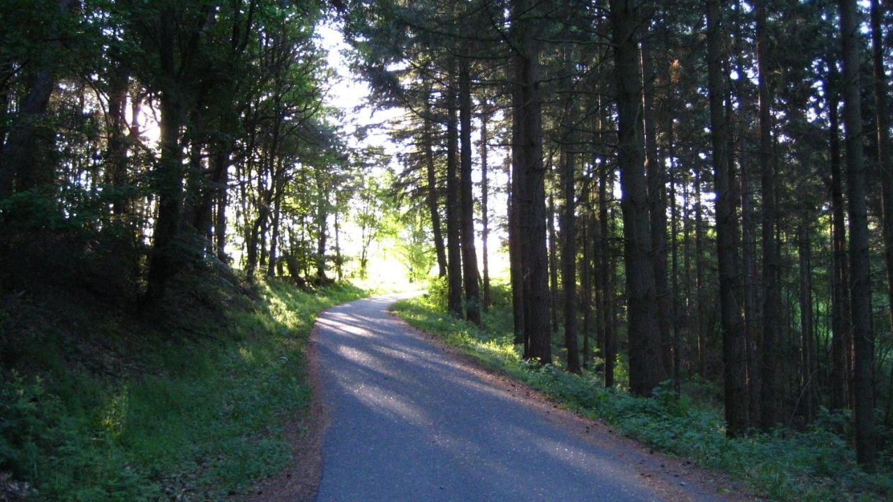 Gaestezimmer Waldblick Wimbach Dış mekan fotoğraf